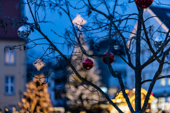 Impressionen Gütersloher Weihnachten © Lena Descher Mit Lichterketten beleuchtete Bäume
