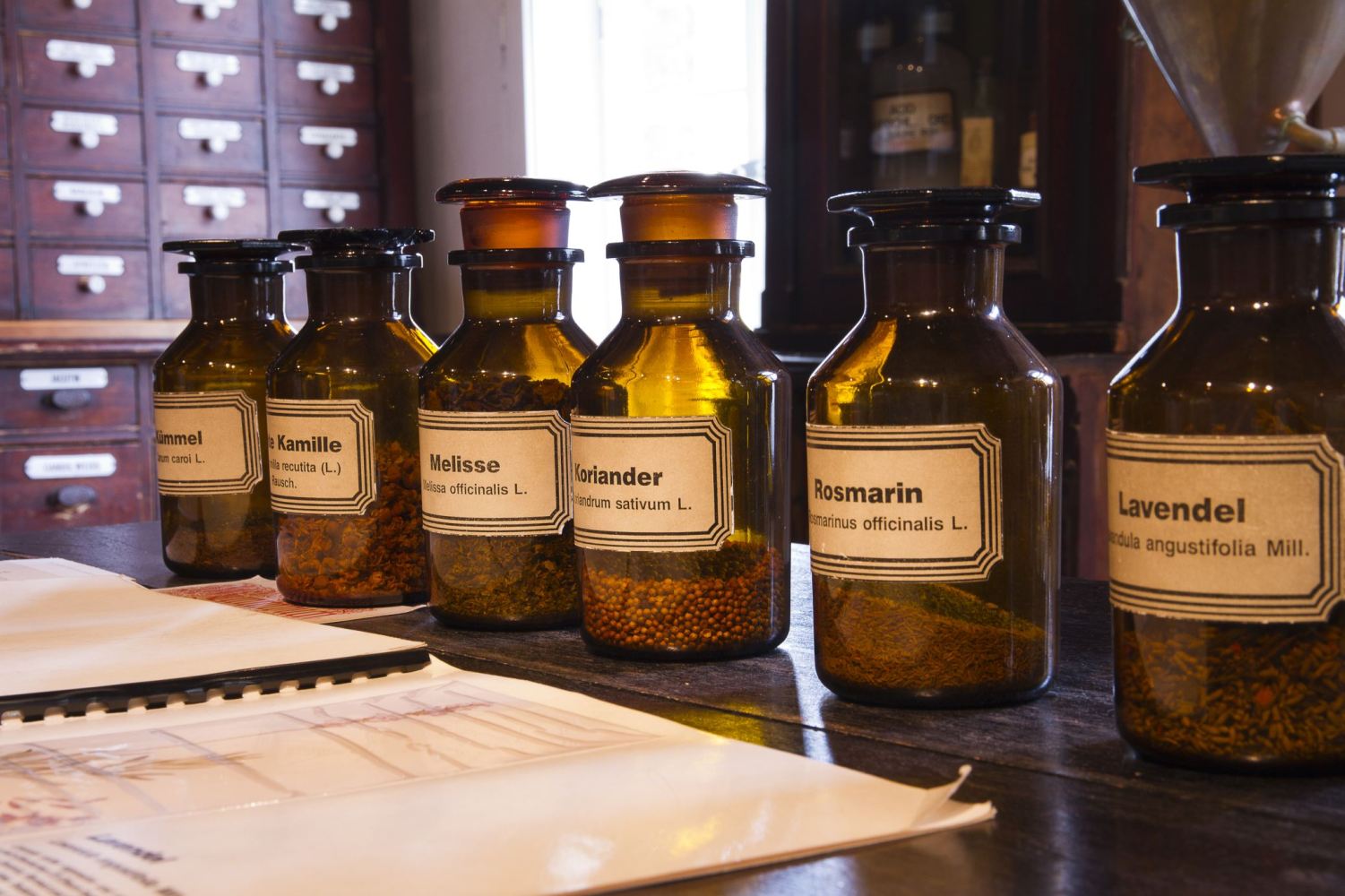 Alte Medizinflaschen aufgereiht auf einem Tisch, im Hintergrund ein alter Apothekerschrank.